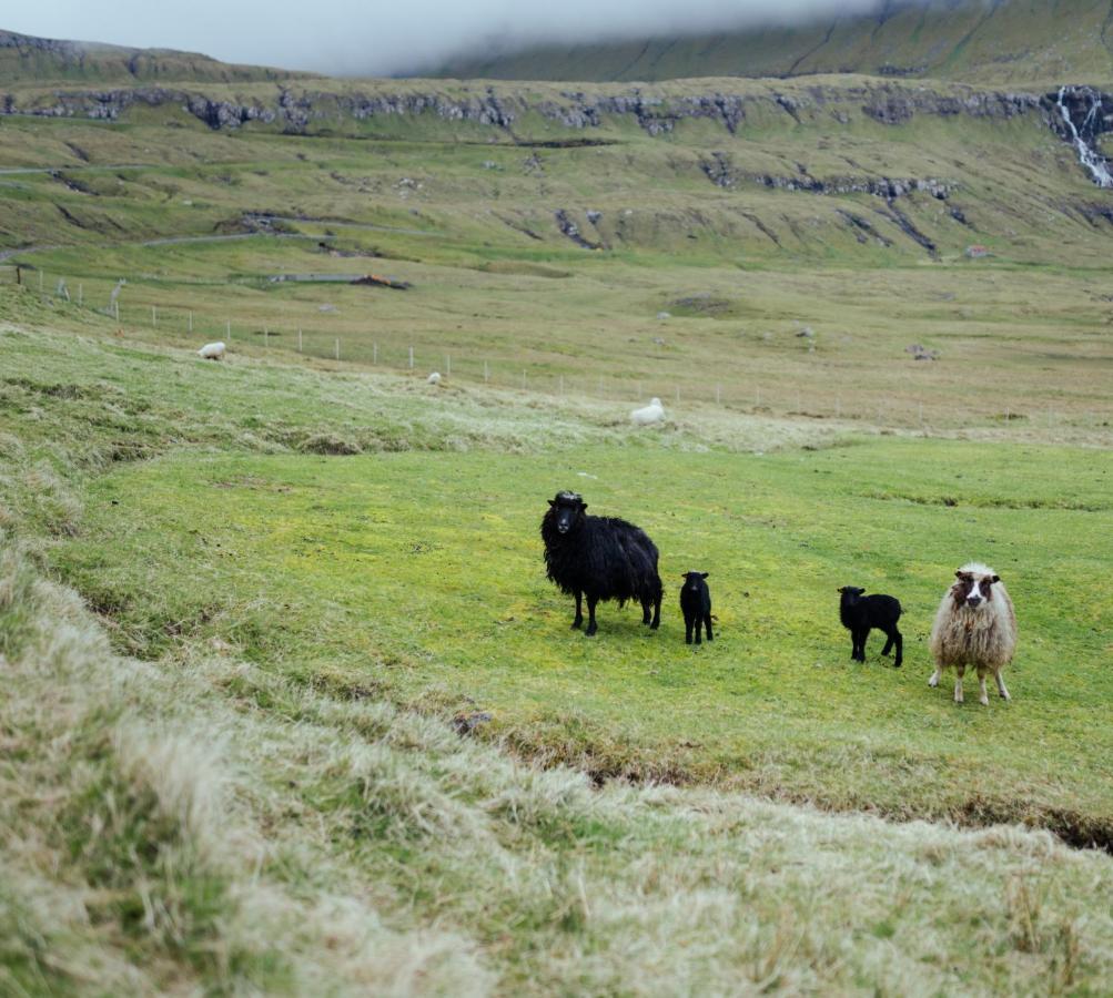 Authentic Faroese House / Unique Location / Nature Hellurnar Exteriör bild